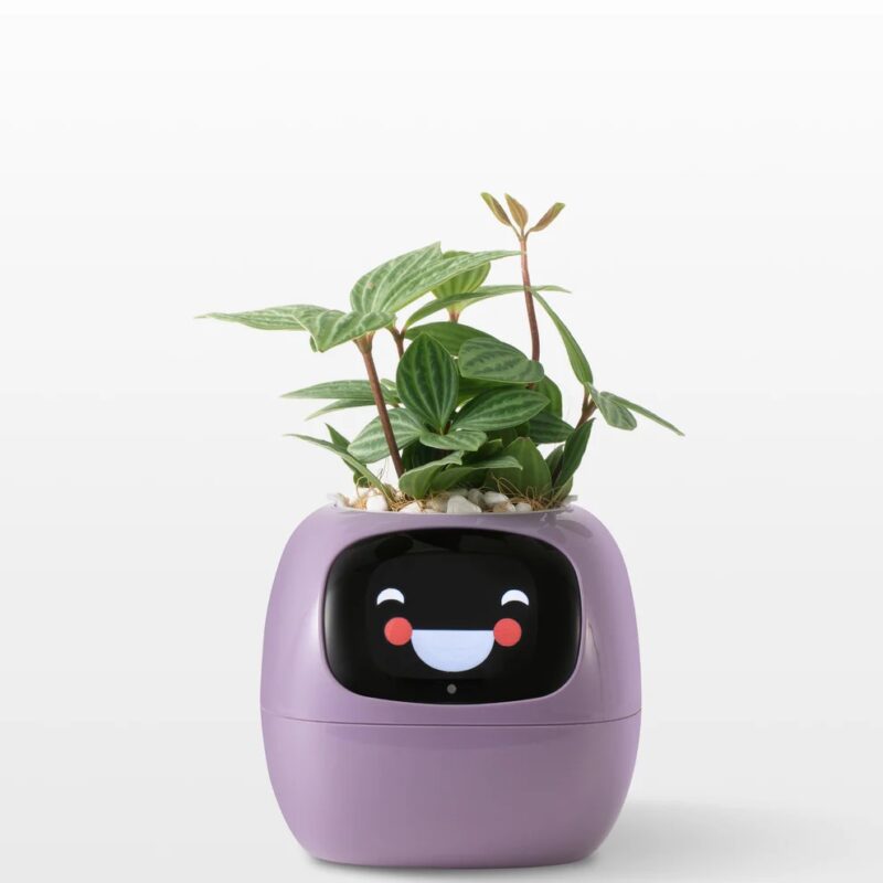Ivy - Smart Planter - Image 7