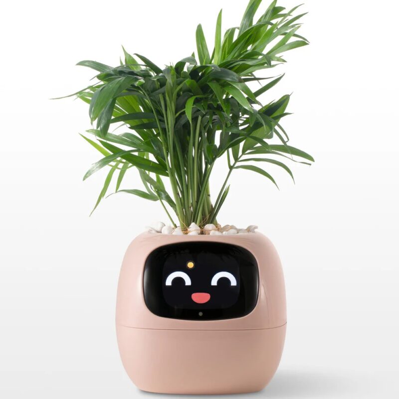 Ivy - Smart Planter - Image 9