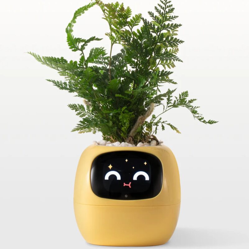 Ivy - Smart Planter - Image 8